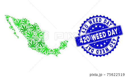 Distress 4 Weed Day Watermark And Mexico Map のイラスト素材