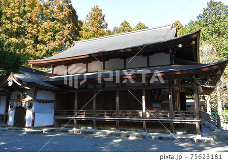 早春の椿大神社 75623181