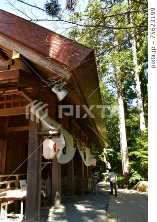 早春の椿大神社 早春の椿大神社 75623199