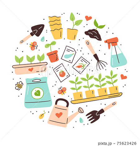 Seeds and seedlings. Germination of sprouts. Tools, pots and soil for planting 75623426