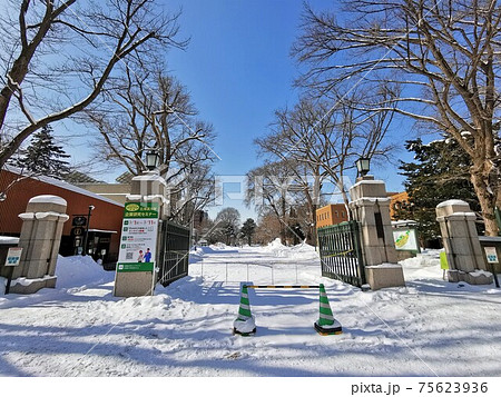北海道大学正門(北海道札幌市) 北海道大学正門(北海道札幌市) 75623936
