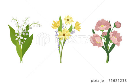Bunch of Spring Flowers with Fragrant Blossom on Green Stem Vector Set Bunch of Spring Flowers with Fragrant Blossom on Green Stem Vector Set 75625238