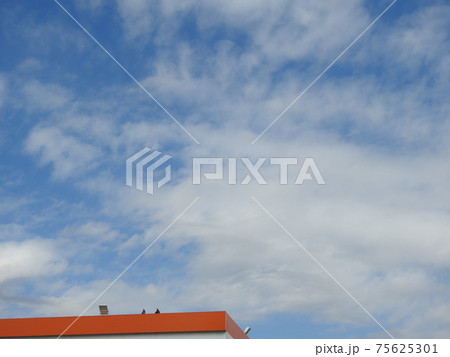 ハトさんが2羽。。なんか良い感じの空の風景です!。。(笑い) ハトさんが2羽。。なんか良い感じの空の風景です!。。(笑い) 75625301