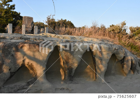 鵜原理想郷　手弱女平にある篠田悌二郎の句碑 75625607