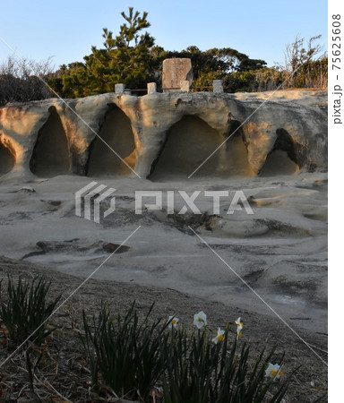 鵜原理想郷 手弱女平にある篠田悌二郎の句碑 鵜原理想郷 手弱女平にある篠田悌二郎の句碑 75625608