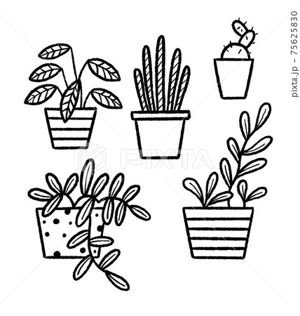 観葉植物のイラストセット 線画 観葉植物のイラストセット 線画 75625830