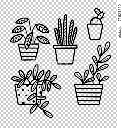 観葉植物のイラストセット 線画 観葉植物のイラストセット 線画 75625830
