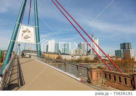 Picture of pedestrian bridge Holbeinsteg in Frankfurt over the river Main and skyline under blue sky and sunshine 75626191