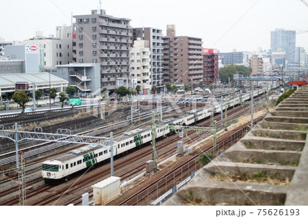 特急踊り子（185系踊り子の下りラストラン列車） 75626193