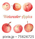 Set of watercolor apple drawings 75626725