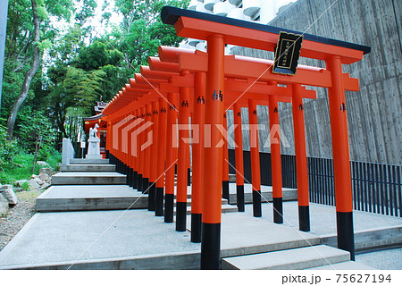 側面から見た生田神社境内にある稲荷神社の鳥居(神戸市中央区) 75627194
