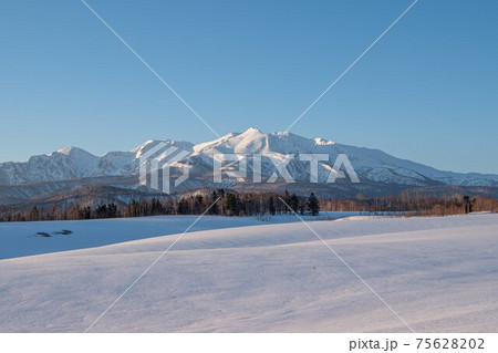 春の朝の大雪山 春の朝の大雪山 75628202