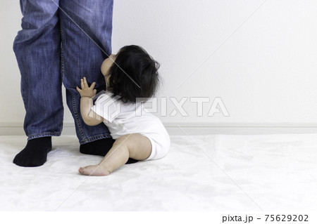 父親の足に抱き着く赤ちゃん（0歳、生後8か月、日本人、女の子） 75629202