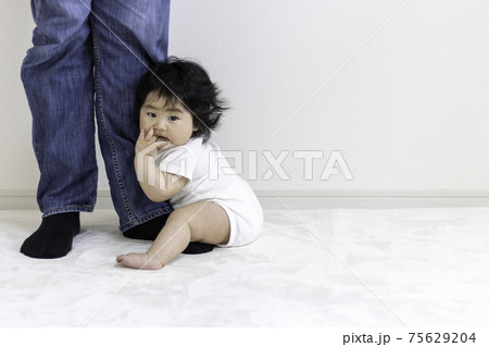 父親の足に抱き着く赤ちゃん(0歳、生後8か月、日本人、女の子) 父親の足に抱き着く赤ちゃん(0歳、生後8か月、日本人、女の子) 75629204