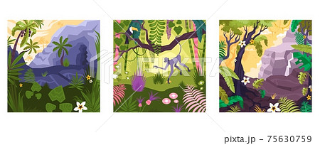 Magic Rainforest Compositions Set 75630759