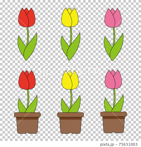 チューリップのイラストセット チューリップのイラストセット 75631003