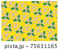 背景_模様_パターン_たんぽぽ 75631165