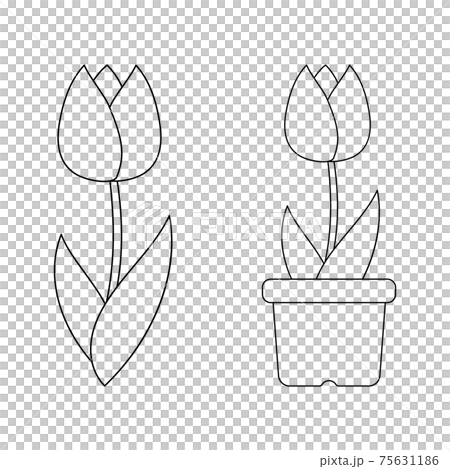 鬱金香圖設置線條藝術 鬱金香圖設置線條藝術 75631186