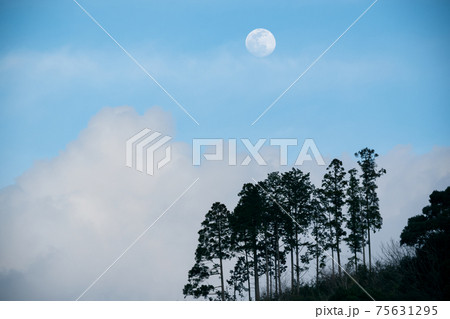 山上の樹と月 山上の樹と月 75631295