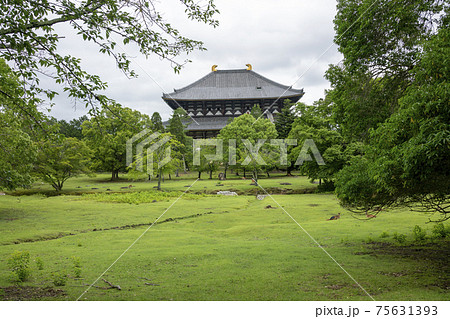 奈良 東大寺大仏殿裏 奈良 東大寺大仏殿裏 75631393