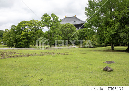 奈良 東大寺大仏殿裏 奈良 東大寺大仏殿裏 75631394