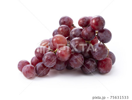 レッドグローブ 75631533