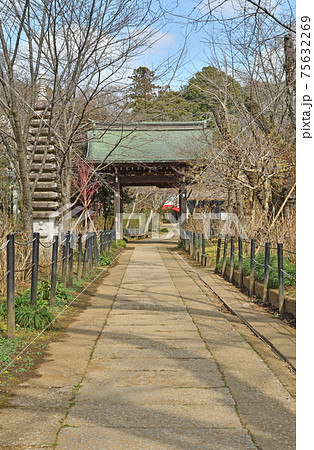 松戸市散歩：本土寺 日蓮宗　瑞鳳門 75632269
