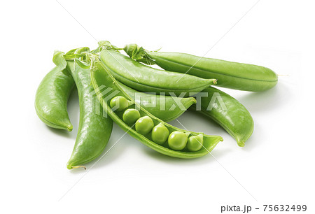 スナップエンドウ 75632499