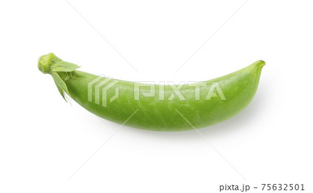 スナップエンドウ スナップエンドウ 75632501