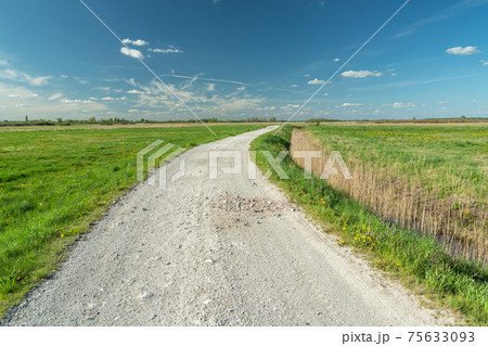 Gravel dirt road between green meadows and clear sky 75633093