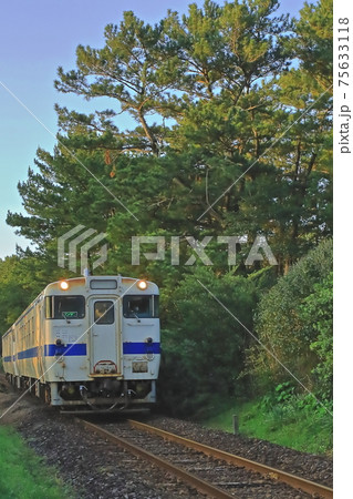松林を行く日南線キハ40 75633118