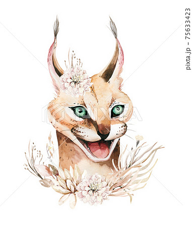 Africa watercolor savanna caracal animal illustration. African Safari wild cat cute animals face portrait character. Isolated on whote poster, packaging ,invitation, wedding design 75633423