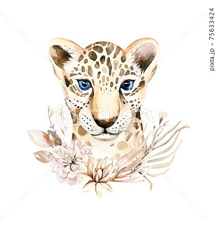 Africa watercolor savanna leopard, animal illustration. African Safari wild cat cute exotic animals face portrait character. Isolated on white poster, invitation design 75633424