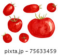 Watercolor tomatoes set. Hand drawing juicy tomato set. 75633459