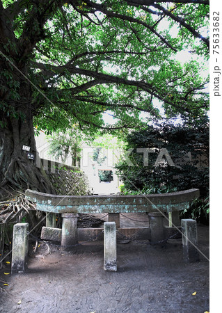 黒神埋没鳥居 75633682