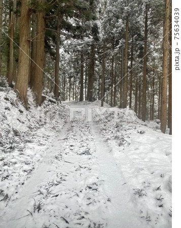 冬の山の雪道 75634039
