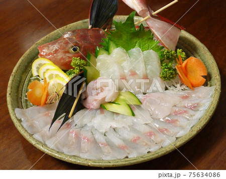 ホウボウ ホウボウ 75634086