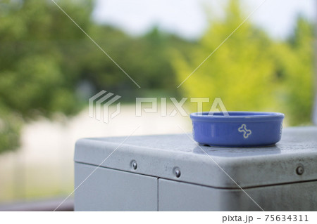 犬用の食器越しの公園 犬用の食器越しの公園 75634311