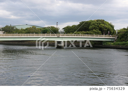 新鴫野橋 新鴫野橋 75634329