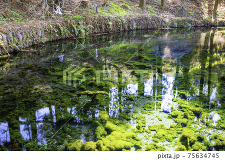 南阿蘇の美しい白川水源 (熊本県阿蘇郡) 南阿蘇の美しい白川水源 (熊本県阿蘇郡) 75634745