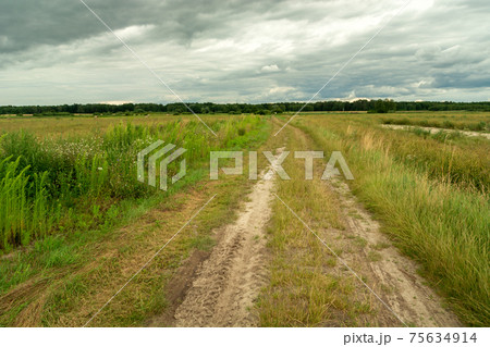 Country road through meadows and cloudy sky 75634914