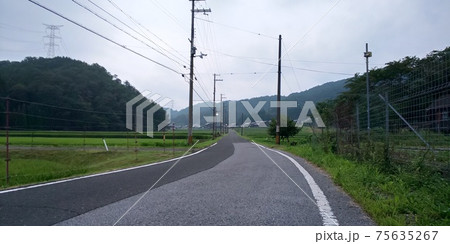 田園地帯の一本道 75635267