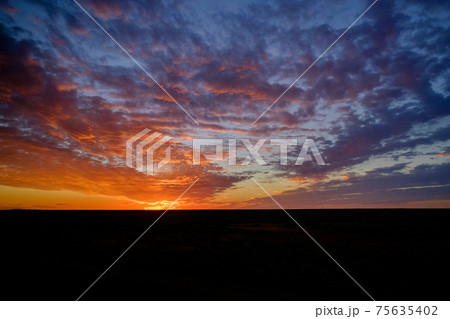 雄大なオーストラリアの開拓精神にふれる魅惑の大陸横断鉄道の旅　アウトバック（Outback） 75635402