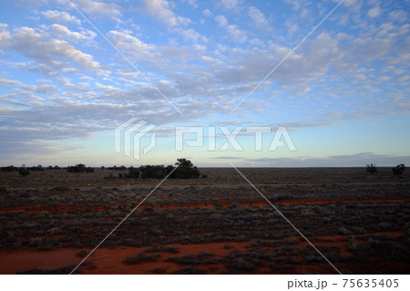 雄大なオーストラリアの開拓精神にふれる魅惑の大陸横断鉄道の旅　アウトバック（Outback） 75635405