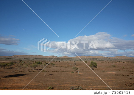 雄大なオーストラリアの開拓精神にふれる魅惑の大陸横断鉄道の旅　アウトバック（Outback） 75635413