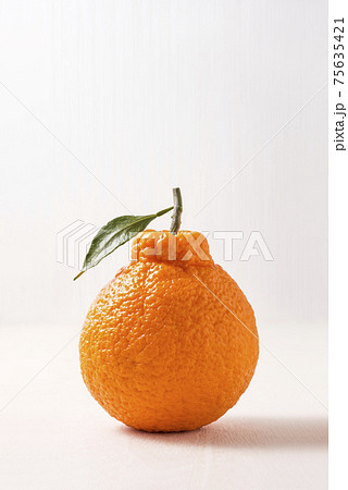 みかん(しらぬい) みかん(しらぬい) 75635421