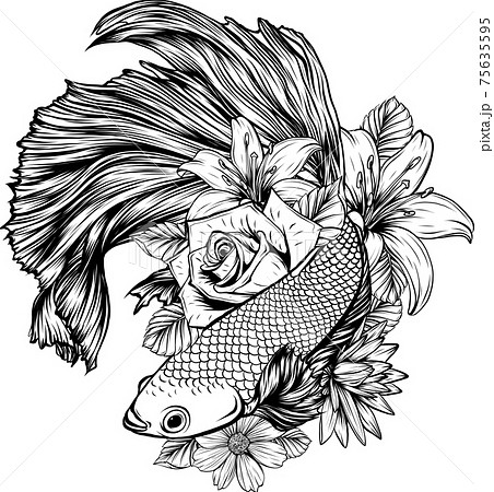 black and white koi fish drawings flowers