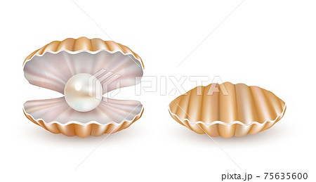 Vector Beautiful Pearl Shell Icon Setのイラスト素材