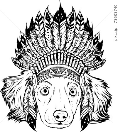 draw in black and white of head dog with traditional Indian hat, vector illustration 75635740