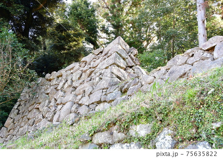 延岡城06 延岡城06 75635822